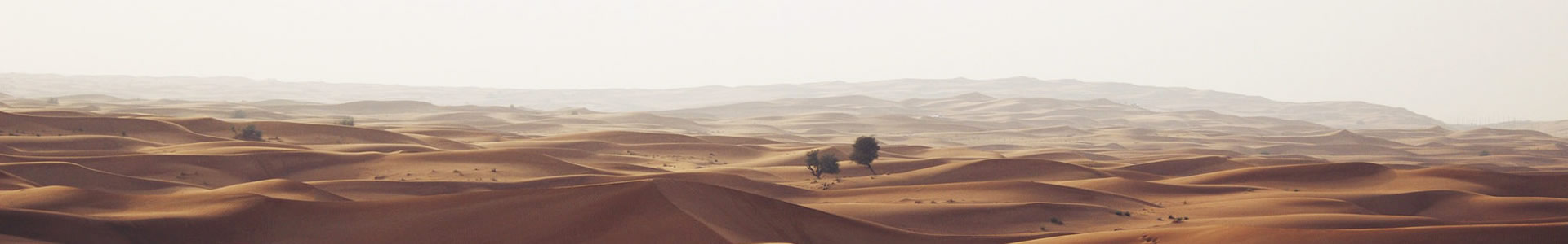 ɻƼ޹˾